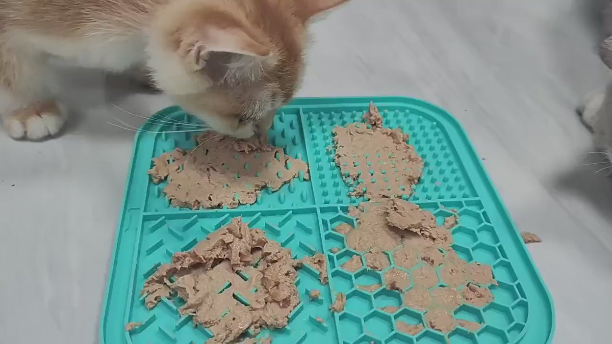 Two cats licking wet food off a silicone slow feeder lick mat – cat lick mat with textured zones