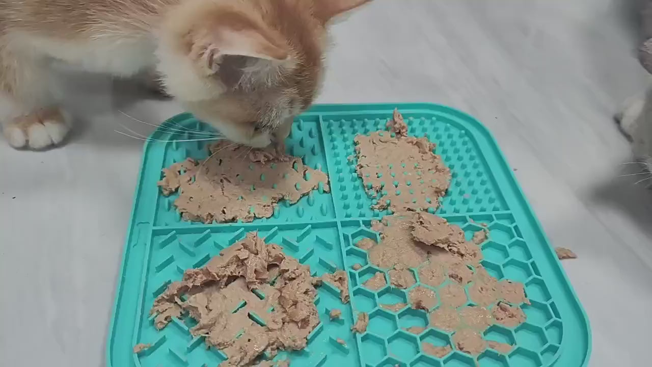Two cats licking wet food off a silicone slow feeder lick mat – cat lick mat with textured zones